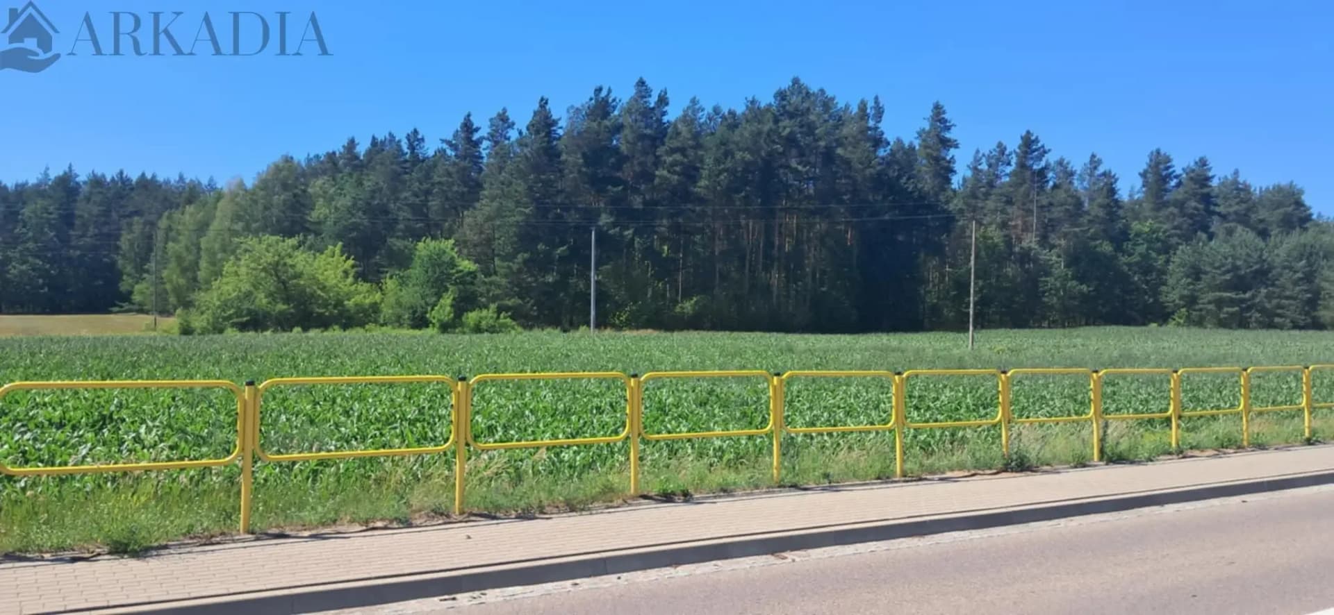 Działka rolna na sprzedaż w miejscowości Gródek 3831 m2 cena 65000 do negocjacji — zdjęcie 2