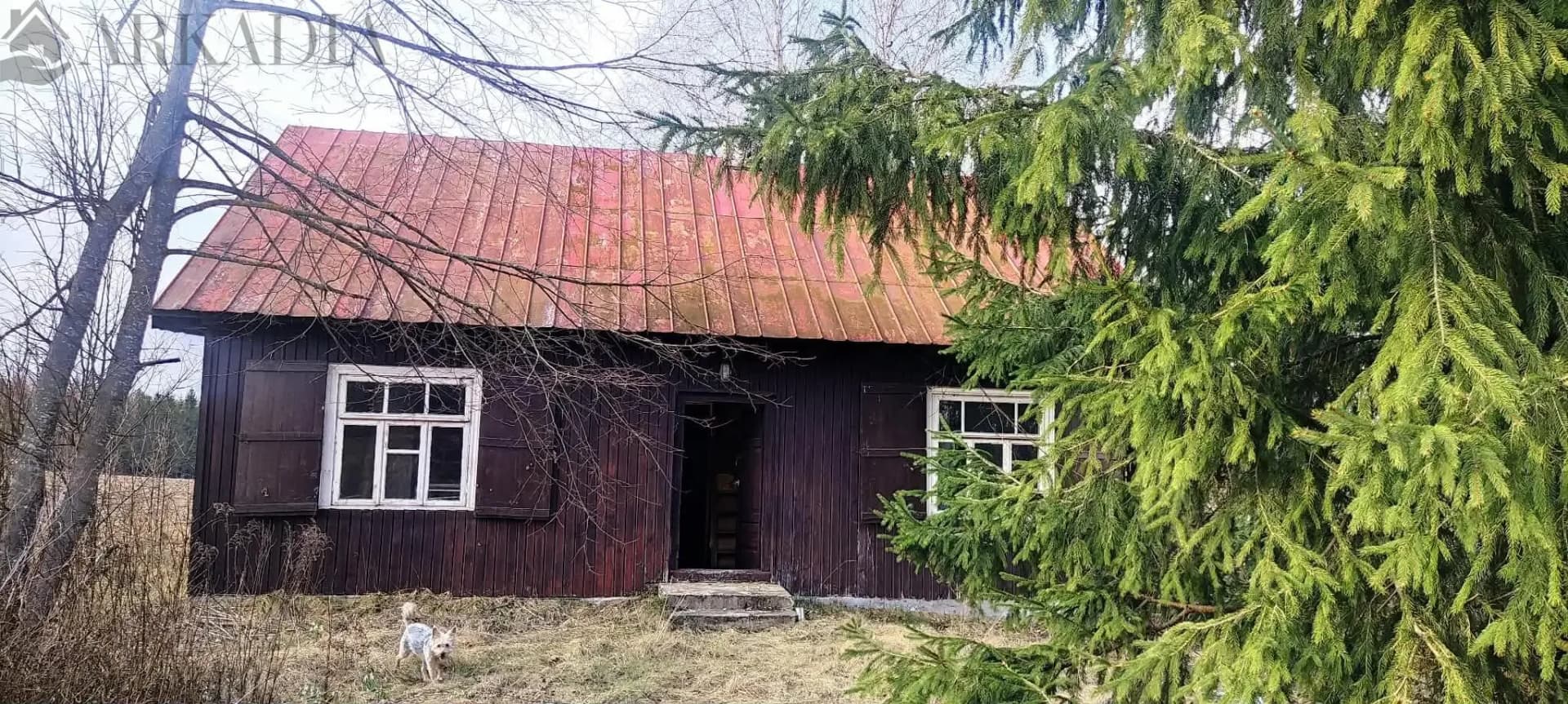 Domek we wsi Zielona z działką 2994 m2 cena 200000 — zdjęcie 2
