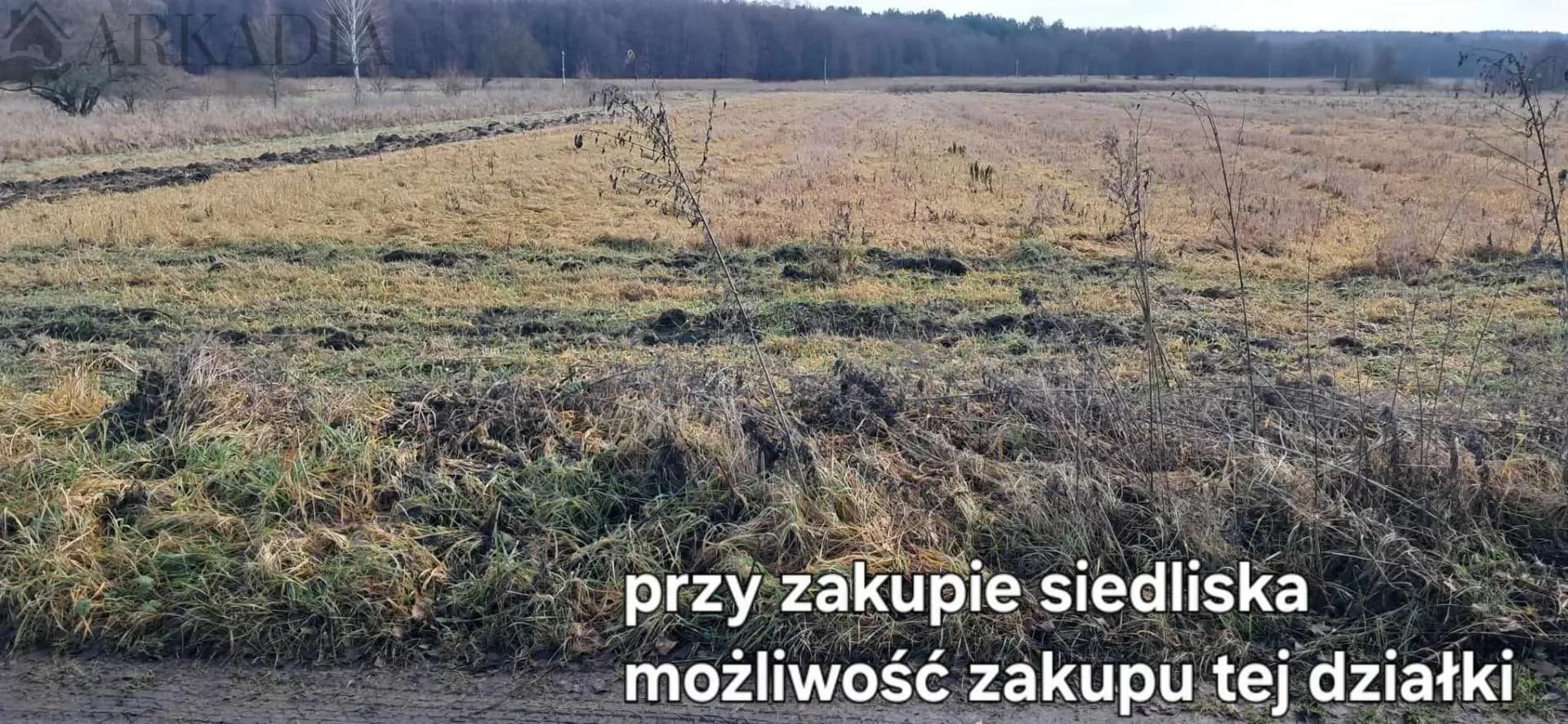 Na sprzedaż Dom z działką w Chomontowcach gmina Gródek 1800 m2/ cena 80000 — zdjęcie 3