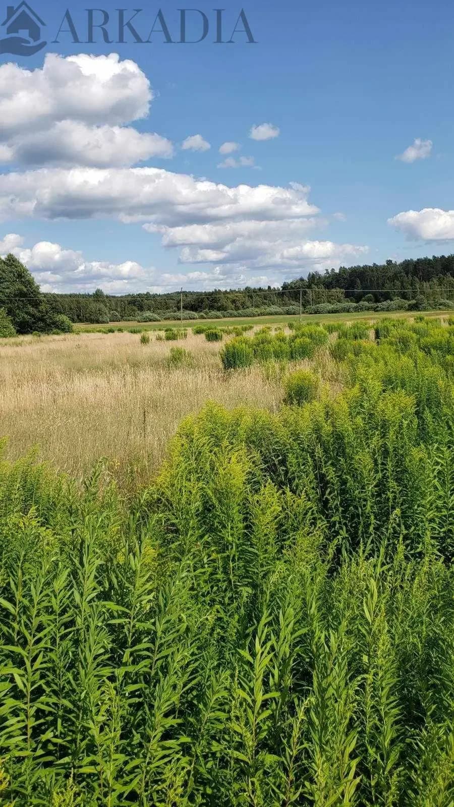 Na sprzedaż Działka budowlana w Józefowo gmina Gródek 2645m2 cena 65000 — zdjęcie 2