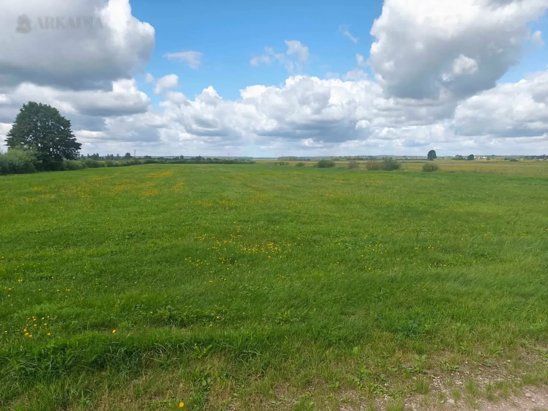 Sprzedaż łąki 1,46 ha  90000 wieś Bielewicze gm. Gródek